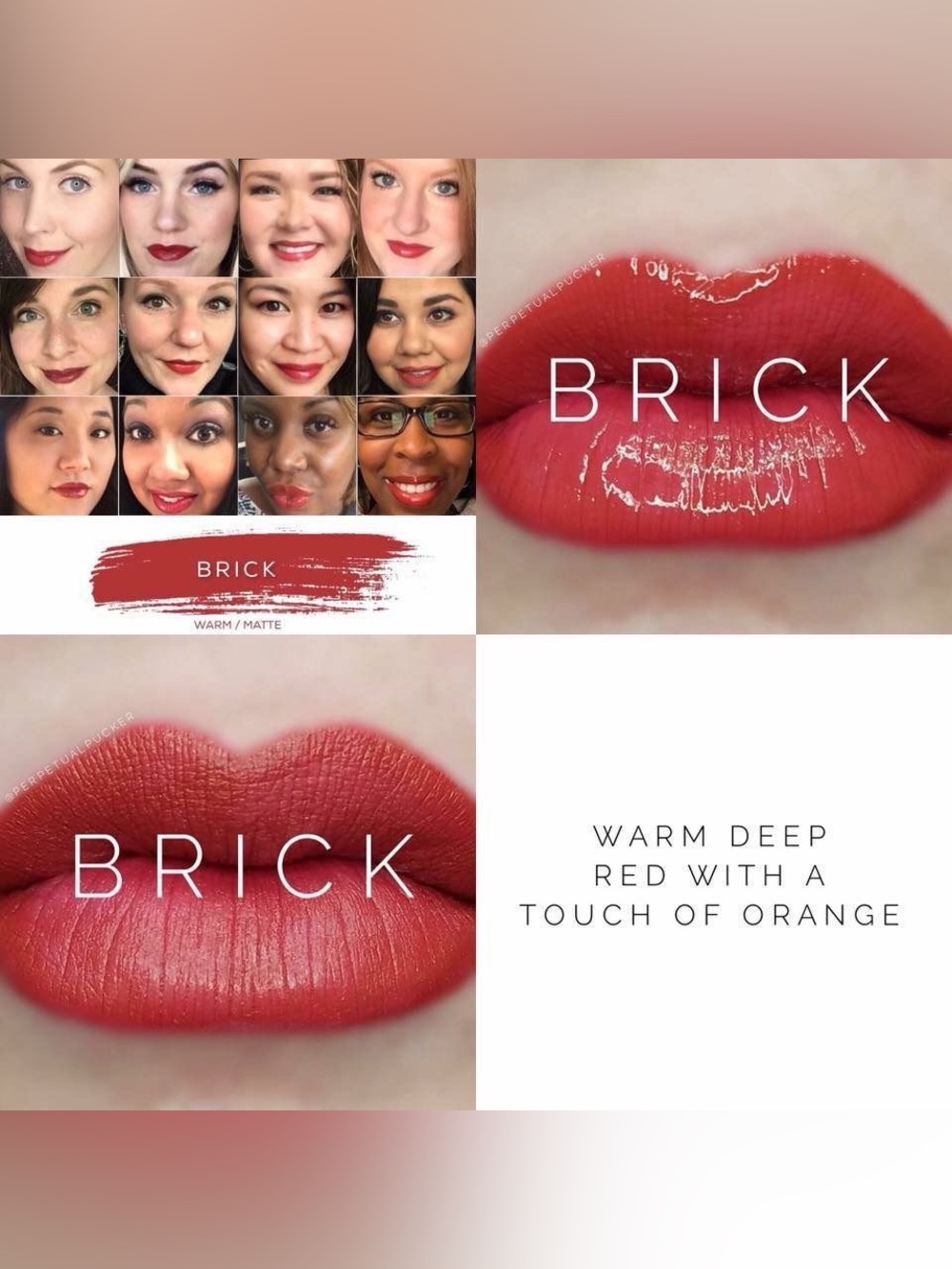 SeneGence Brick Warm Deep Red with Orange Touch Lipstick